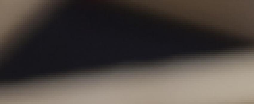 DOBBIAMO LAVORARE SUL RAFFORZAMENTO DI FILIERE E DISTRETTI IL NOSTRO FUTURO E’ NELLE PRODUZIONI DI TOP DI GAMMA