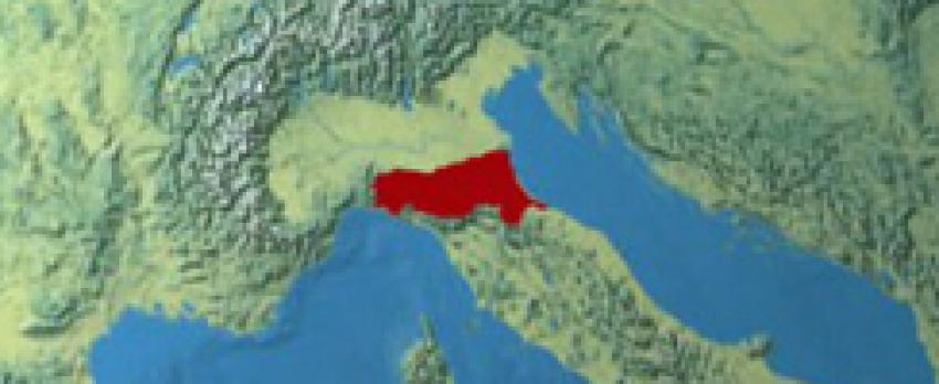 One day. Emilia-Romagna Industrial Vision