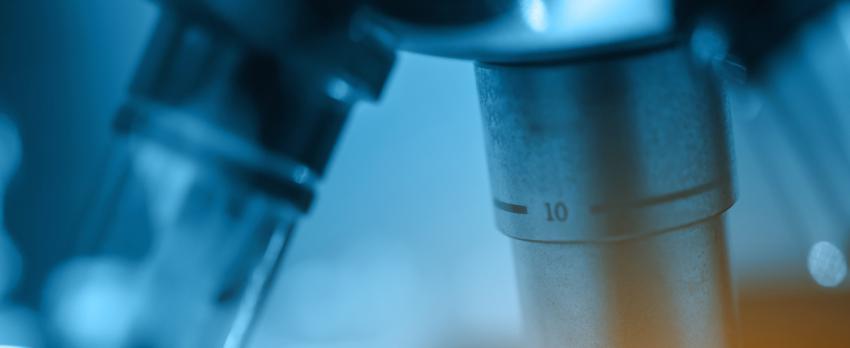 UN NUOVO NETWORK PER L’INNOVAZIONE A DISPOSIZIONE DELLE IMPRESE