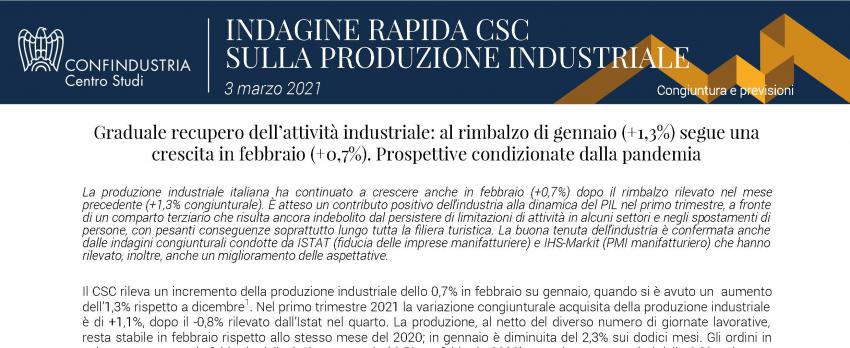 INDAGINE RAPIDA DEL CENTRO STUDI CONFINDUSTRIA | 3 marzo 2021