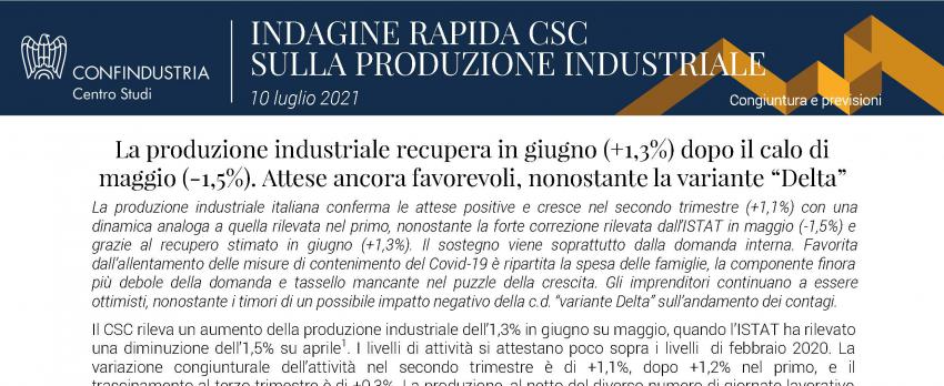 INDAGINE RAPIDA CENTRO STUDI CONFINDUSTRIA |  10 luglio 2021