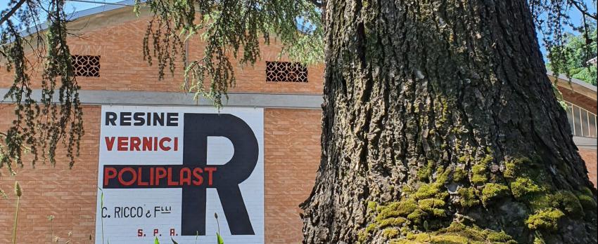 PROGETTO DECARB |  AZIENDA CARLO RICCO’ & F.LLI SPA DI CORREGGIO (REGGIO EMILIA)