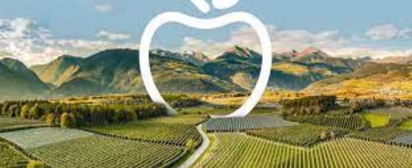 INVITO AD INTERPOMA BUSINESS MATCH – 17 e 18 novembre 2022 ON LINE