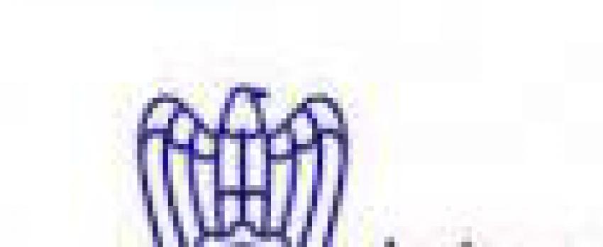 INTELLIGENZA ARTIFICIALE E PMI: ESPERIENZE DA UN FUTURO PRESENTE | INCONTRO PICCOLA INDUSTRA – PARMA, 8 OTTOBRE 2024